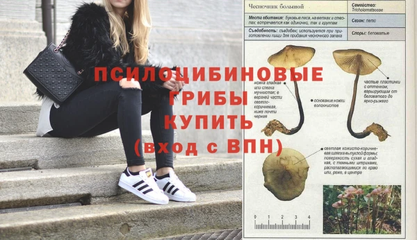 MDMA Premium VHQ Армянск