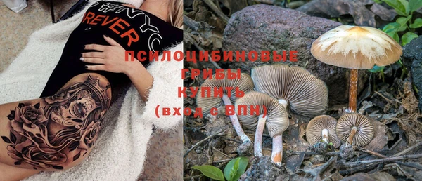 дурь Аркадак
